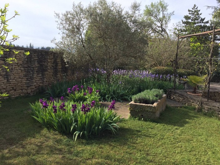 Location de vacances - Mas à Gordes