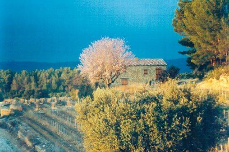 Location de vacances - Mas à Le Castellet