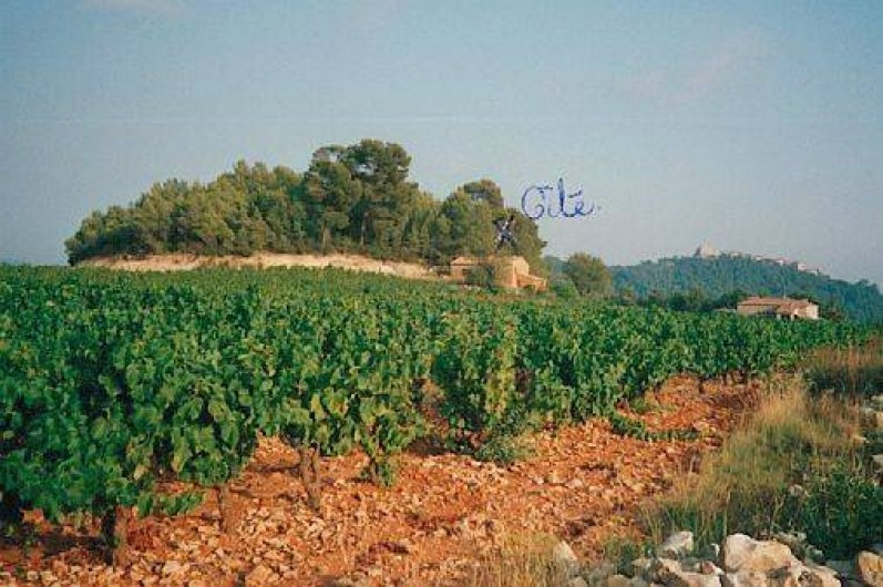 Location de vacances - Mas à Le Castellet