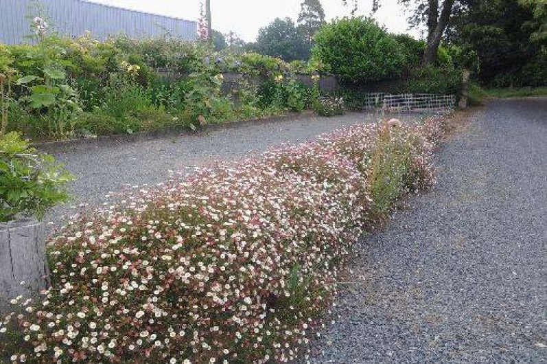 Location de vacances - Gîte à Tréguier