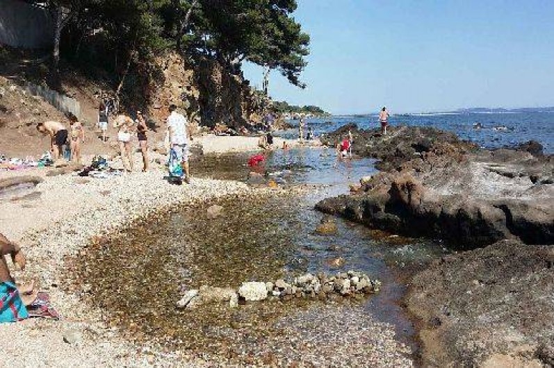 Location de vacances - Appartement à Carqueiranne