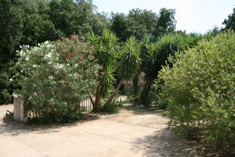 Location de vacances - Villa à Prunelli-di-Fiumorbo - extérieur