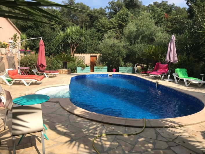 Location de vacances - Villa à Prunelli-di-Fiumorbo - piscine vue du jardin