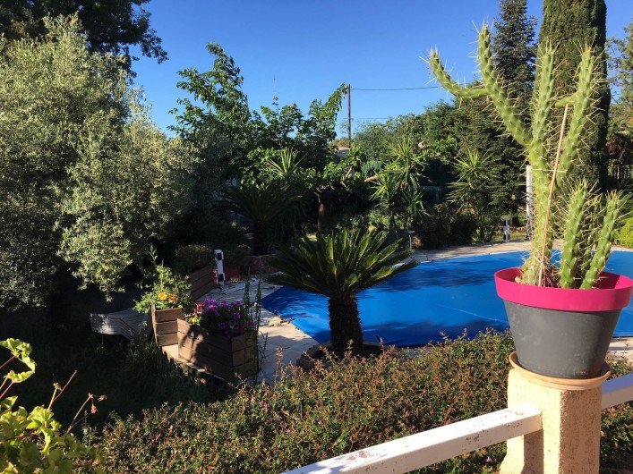 Location de vacances - Villa à Prunelli-di-Fiumorbo - vue piscine et jardin d'une des chambres