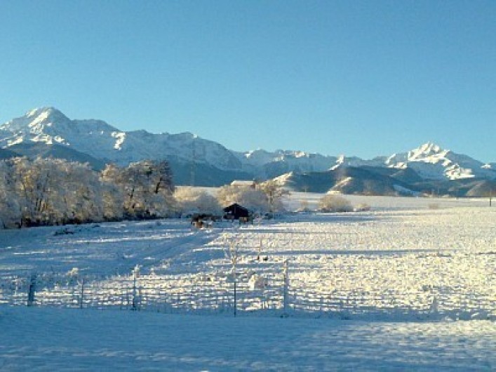 Location de vacances - Appartement à Cieutat