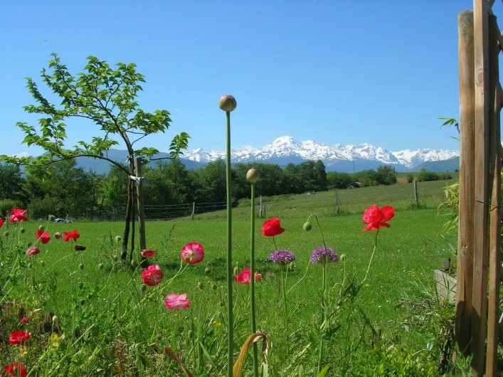 Location de vacances - Appartement à Cieutat
