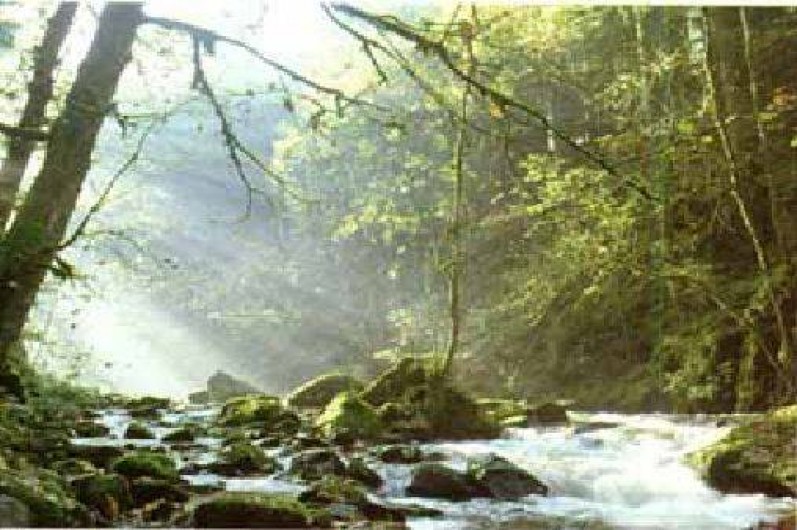 Location de vacances - Chalet à Vagney