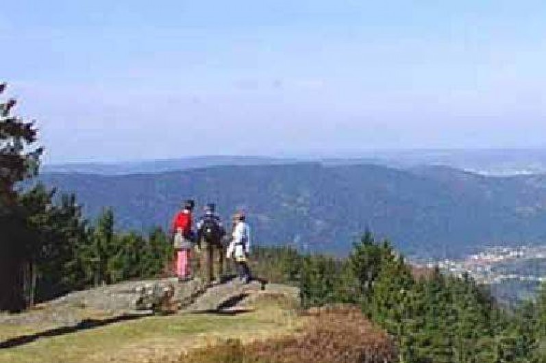 Location de vacances - Chalet à Vagney