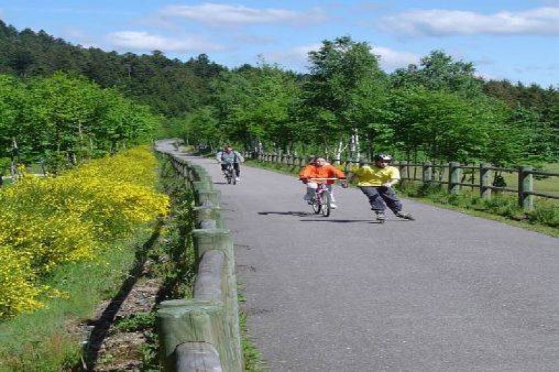 Location de vacances - Chalet à Vagney