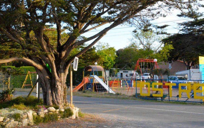 Location de vacances - Camping à Dolus-d'Oléron