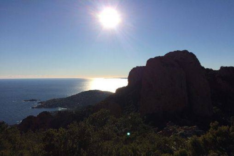 Location de vacances - Villa à Mandelieu-la-Napoule