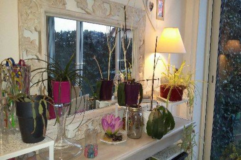 Location de vacances - Villa à Mandelieu-la-Napoule