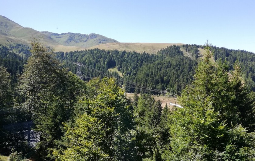 Location de vacances - Appartement à Laveissière