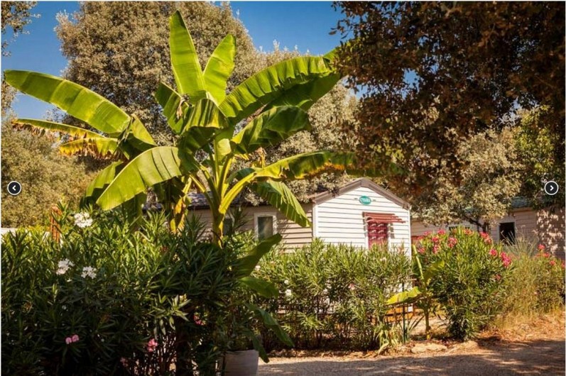 Location de vacances - Bungalow - Mobilhome à Boisseron