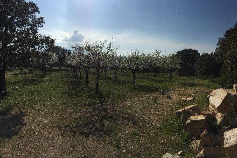 Location de vacances - Villa à Lumio