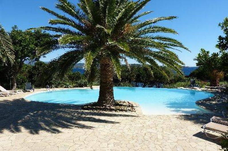 Location de vacances - Villa à Porto-Vecchio