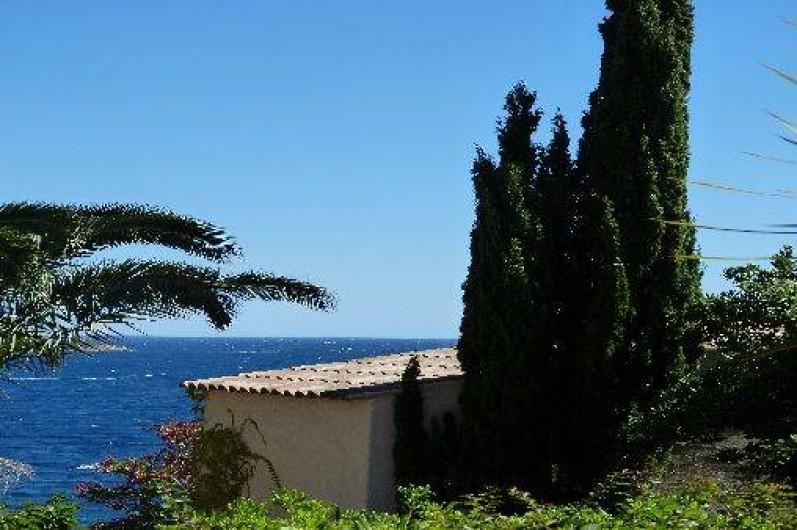 Location de vacances - Villa à Porto-Vecchio