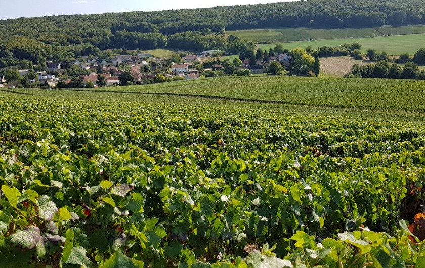 Location de vacances - Gîte à Cuchery