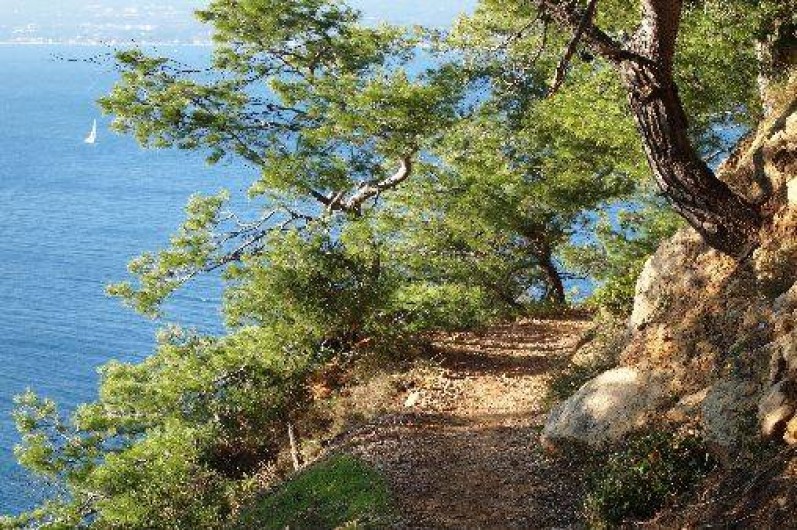 Location de vacances - Studio à Saint-Cyr-sur-Mer