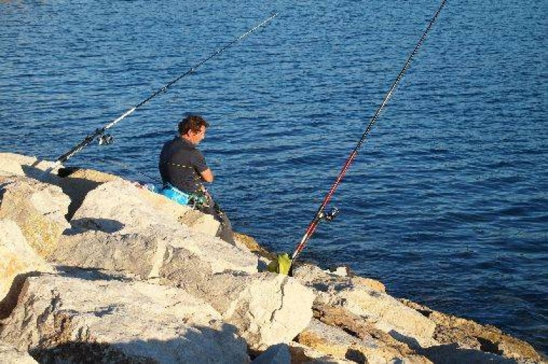Location de vacances - Studio à Saint-Cyr-sur-Mer