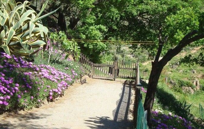 Location de vacances - Chalet à Sainte-Maxime - la piste pétanque