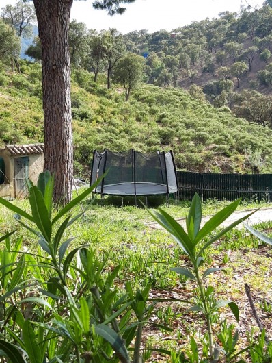 Location de vacances - Chalet à Sainte-Maxime - la trampoline