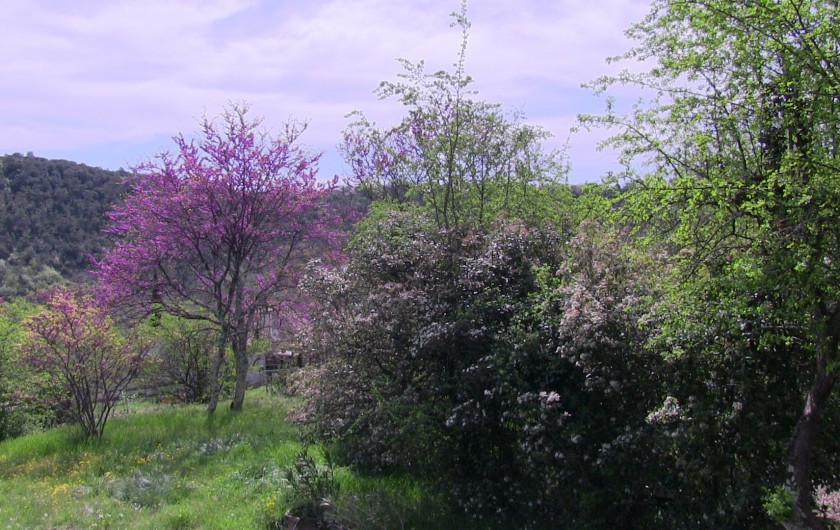 Location de vacances - Gîte à Les Vans - terrain accessible depuis le gite