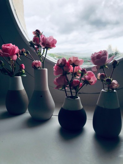 Location de vacances - Gîte à Tonnoy - Des fleurs... encore des fleurs