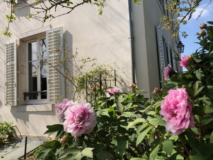 Location de vacances - Gîte à Tonnoy - le jardin fleuri