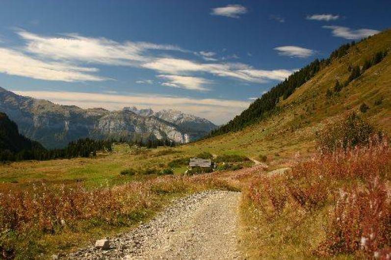 Location de vacances - Studio à Les Carroz d'Arâches