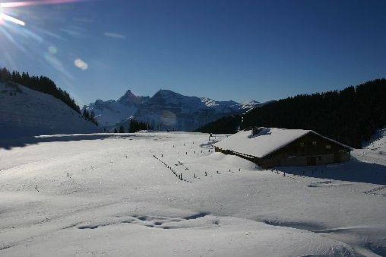 Location de vacances - Studio à Les Carroz d'Arâches