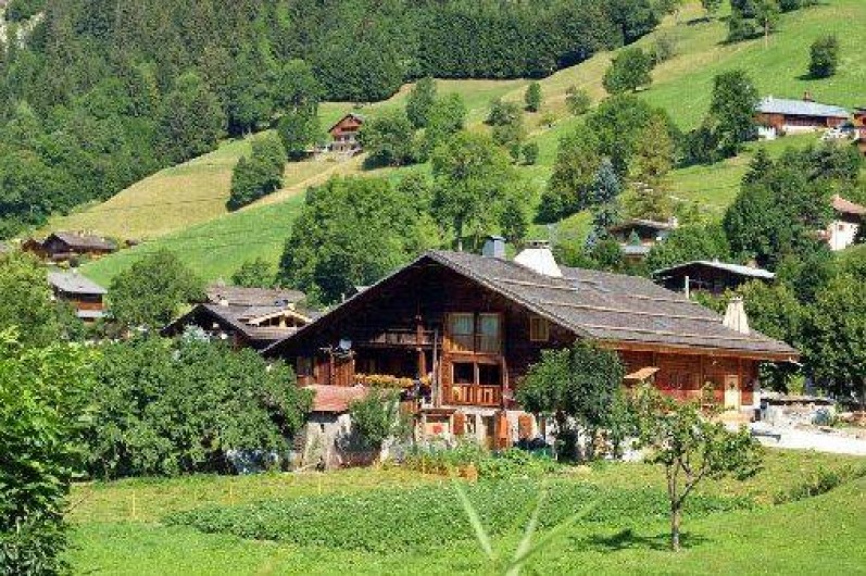 Location de vacances - Gîte à La Clusaz - Vue d'ensmble été