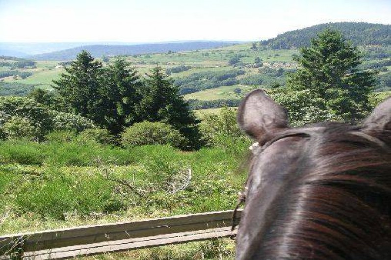 Location de vacances - Gîte à Saulxures-sur-Moselotte