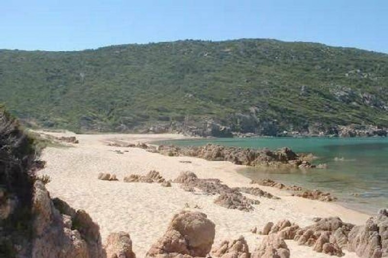 Location de vacances - Appartement à Tizzano