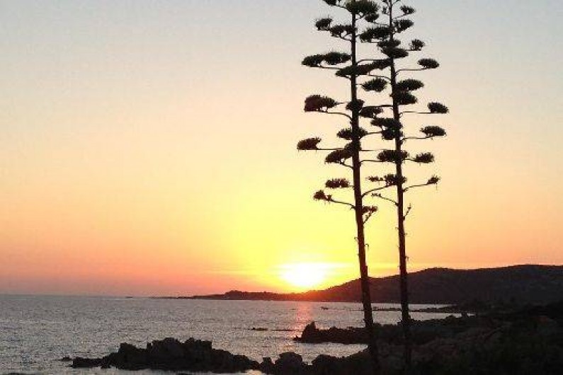 Location de vacances - Appartement à Tizzano