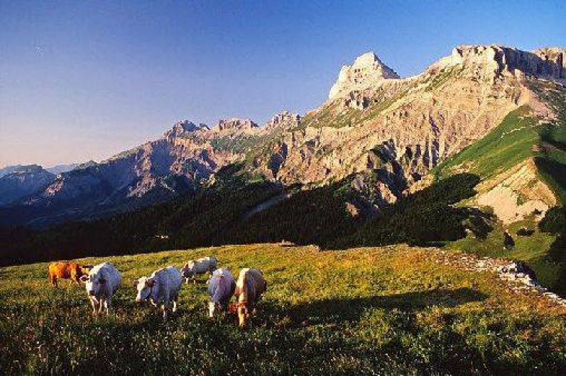 Location de vacances - Appartement à Superdévoluy