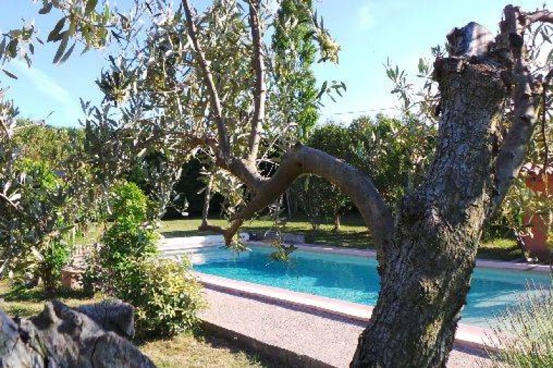 Location de vacances - Villa à Bollène