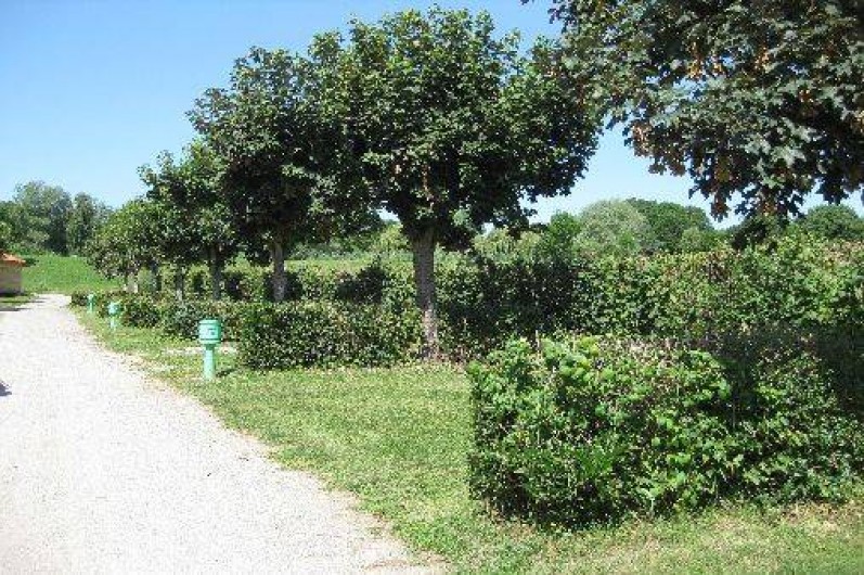 Location de vacances - Camping à Bellenaves - Mini-camping : Emplacements nus avec électricité en option