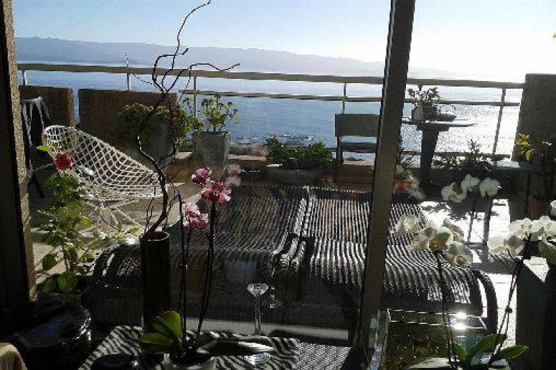 Location de vacances - Appartement à Ajaccio