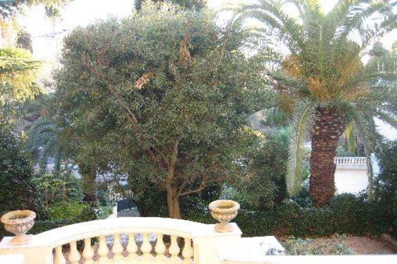Location de vacances - Villa à Cannes