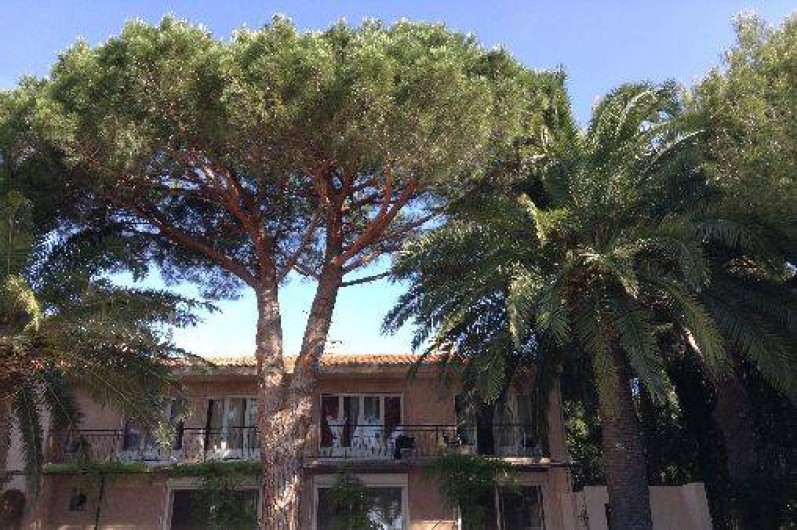 Location de vacances - Appartement à Cavalaire-sur-Mer