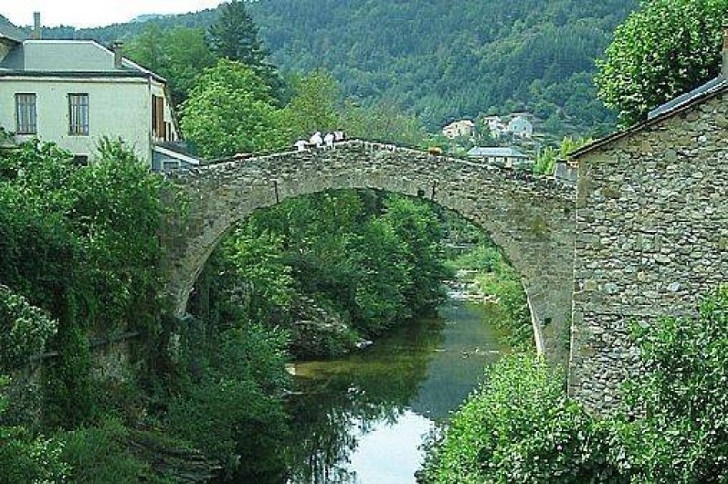 Location de vacances - Chambre d'hôtes à Saint-Jean-du-Bruel