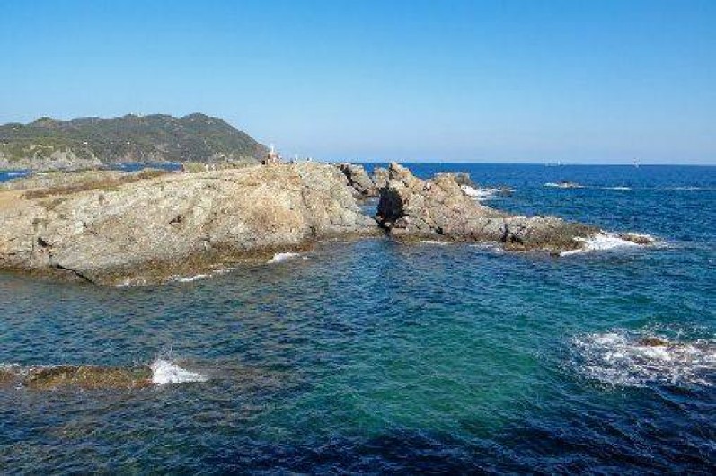 Location de vacances - Maison - Villa à Six-Fours-les-Plages