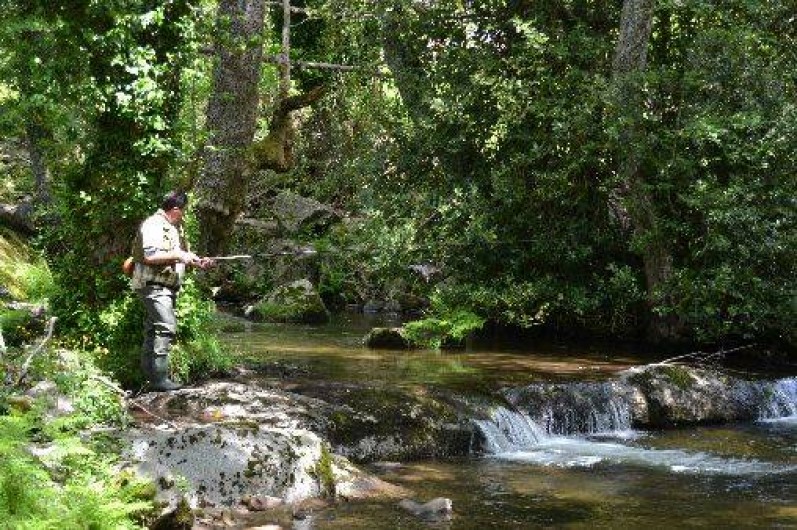 Location de vacances - Studio à Tiuccia