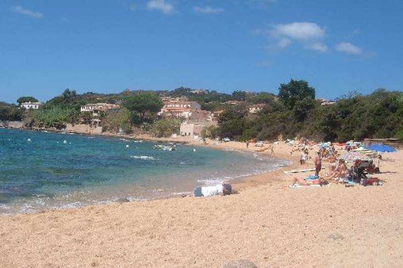 Location de vacances - Studio à Tiuccia