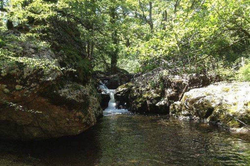 Location de vacances - Studio à Tiuccia