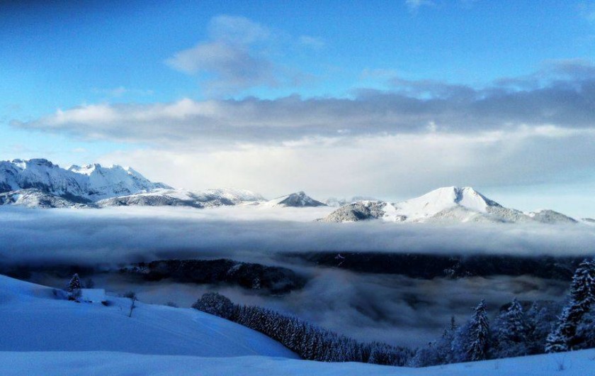 Location de vacances - Chalet à Taninges - Vue en arrivant au chalet