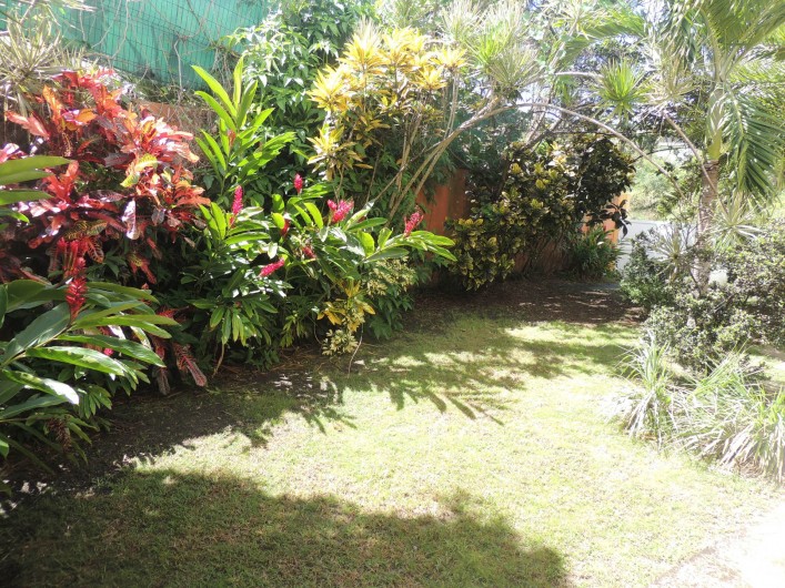 Location de vacances - Appartement à Le Gosier - Le jardin tropical privatif
