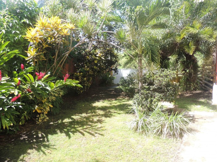 Location de vacances - Appartement à Le Gosier - Le jardin tropical privatif