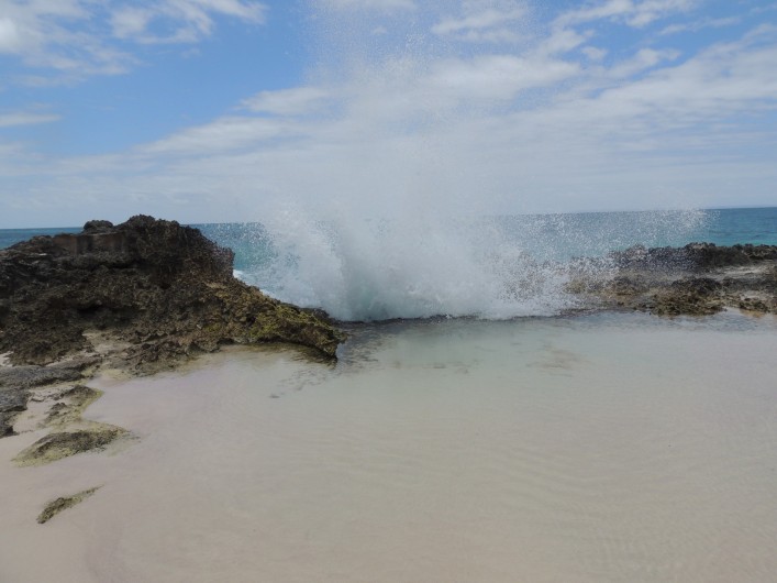 Location de vacances - Appartement à Le Gosier - Un accès rapide et facile à une grande variété de sites.
